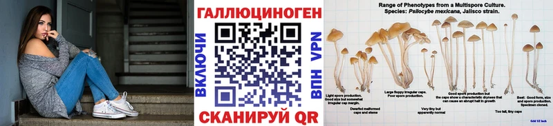 цены   Бикин  Псилоцибиновые грибы Psilocybine cubensis 